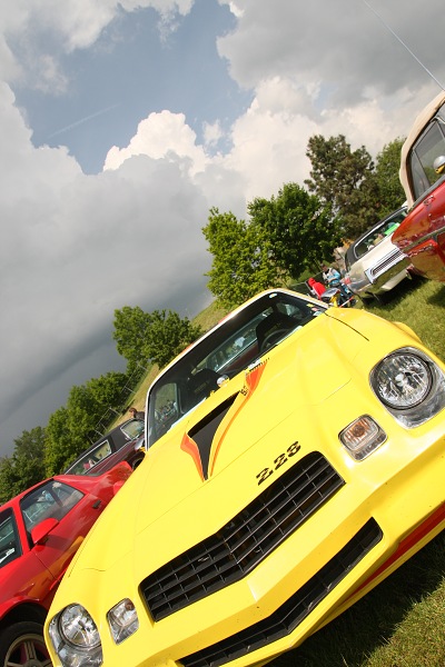 450D_8950.jpg